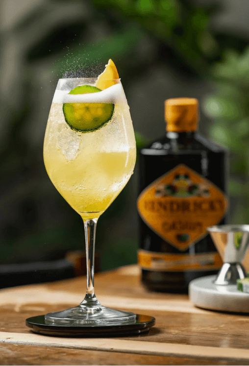 Hendrick's Oasium <br>Gin Fizz