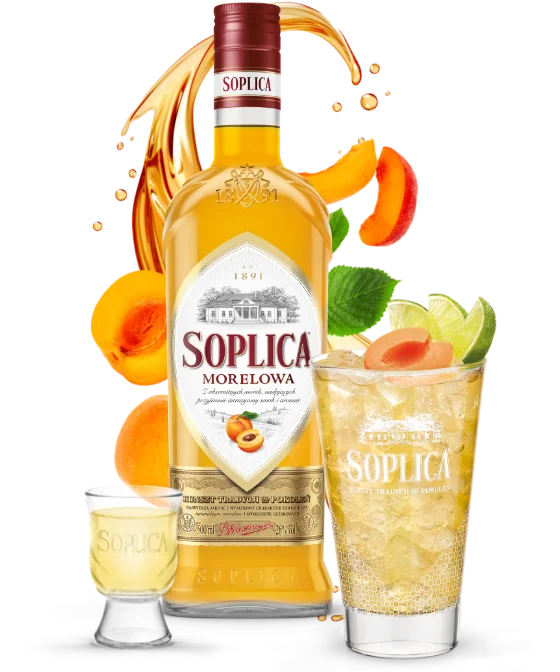 Soplica Morelowa